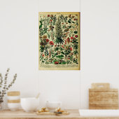 Neue Adolphe Millot Naturposter: Blume Poster (Küche)