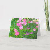 Neue Adresse Ankündigung (Rückseite)