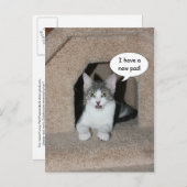 Neue Adresse Ankündigungspostkarte (Vorne/Hinten)