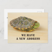 Neue Adresse Ankündigungspostkarte (Vorne/Hinten)