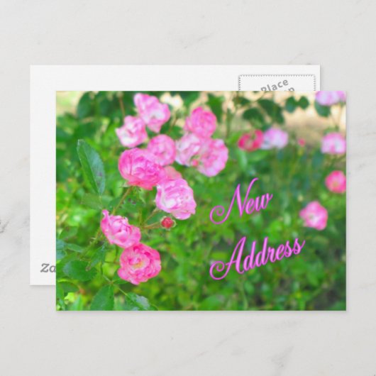Neue Adresse Ankündigungspostkarte (Vorne/Hinten)