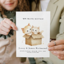 Neue Adresse Niedliche Katzen in Faltschachtel