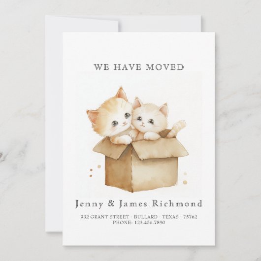 Neue Adresse Niedliche Katzen in Faltschachtel Ankündigung (Vorderseite)