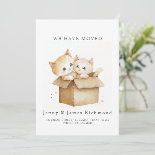 Neue Adresse Niedliche Katzen in Faltschachtel Ankündigung (Stehend Vorderseite)