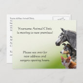 Neue Adresse Tierarzt Ankündigungspostkarte (Vorne/Hinten)