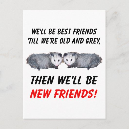 Neue alte Freunde mit Possum Postkarte (Vorderseite)