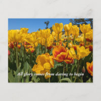 Neue Anfänge Frühlingsgelbe Tulpenblumen