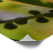 Neue Anfänge im Schatten-Poster Poster (Ecke)