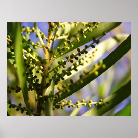 Neue Anfänge im Schatten-Poster Poster (Vorne)