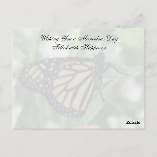 Neue Anfänge Postkarte (Rückseite)