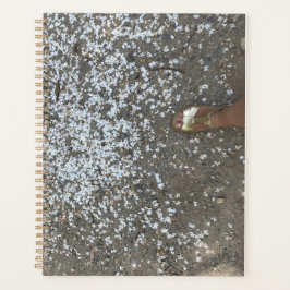 Neue Anfänge und Erste Schritte Planer