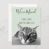 Neue Ankündigung von Cat Funny (Vorne/Hinten)