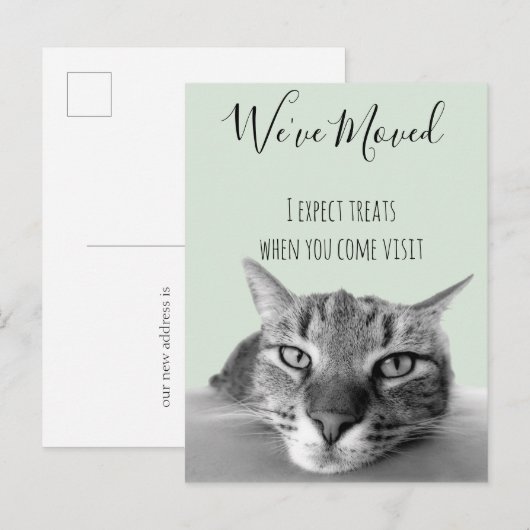 Neue Ankündigung von Cat Funny (Vorne/Hinten)