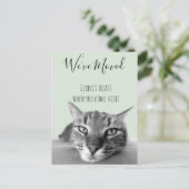 Neue Ankündigung von Cat Funny (Stehend Vorderseite)