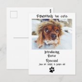 Neue Ankündigung von Haustieren Postkarte (Vorne/Hinten)