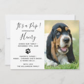 Neue Ankündigung von Hunden für Haustiere (Vorderseite)