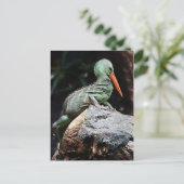 Neue Arten Postkarte (Stehend Vorderseite)