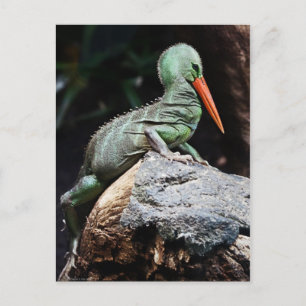 Neue Arten Postkarte