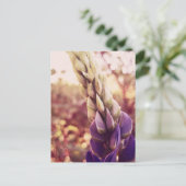 Neue Brunswick-Blume Postkarte (Stehend Vorderseite)