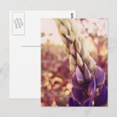 Neue Brunswick-Blume Postkarte (Vorne/Hinten)