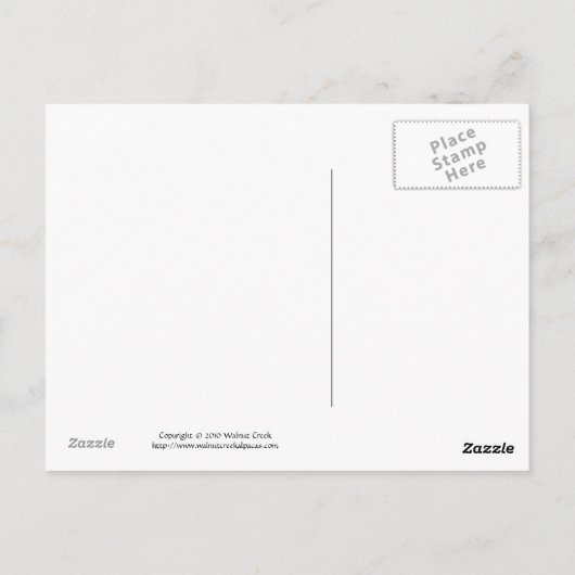 Neue Cria Postkarte (Rückseite)