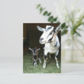 Neue Dosierung mit Mama Ziege Postkarte (Stehend Vorderseite)