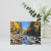 Neue England farbenfrohe Landschaft, Herbst, Postkarte (Stehend Vorderseite)
