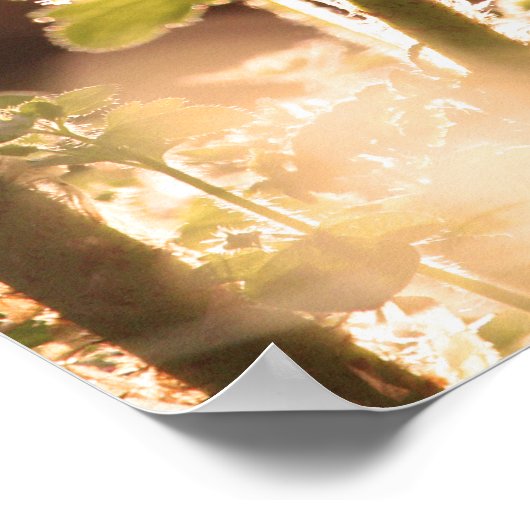 Neue, entfesselte Hühnerfronten im Frühjahr Poster (Ecke)