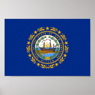 Neue Flagge des Staates Hampshire Poster