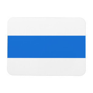Neue Flagge für Russland Magnet
