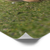 Neue Forest Forest Print Poster (Ecke)