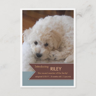 Neue Foto-Brown-Fahnen-Foto-Mitteilung des Ankündigung