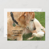 Neue Freunde im Lager Postkarte (Vorne/Hinten)