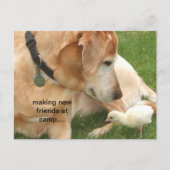 Neue Freunde im Lager Postkarte (Vorderseite)