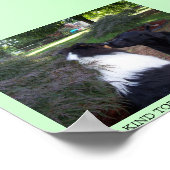 NEUE FREUNDE POSTER (Ecke)