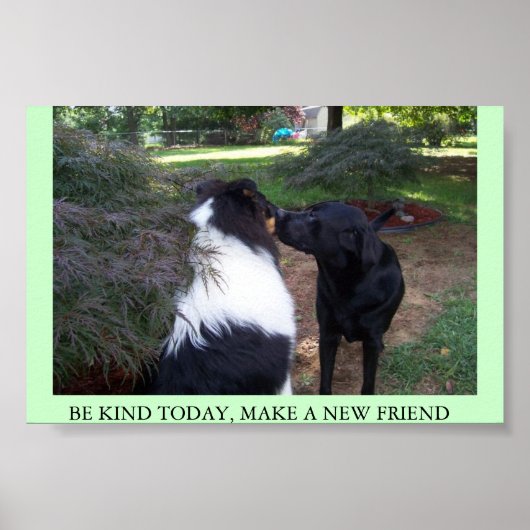 NEUE FREUNDE POSTER (Vorne)