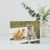 Neue Freunde Postkarte (Stehend Vorderseite)