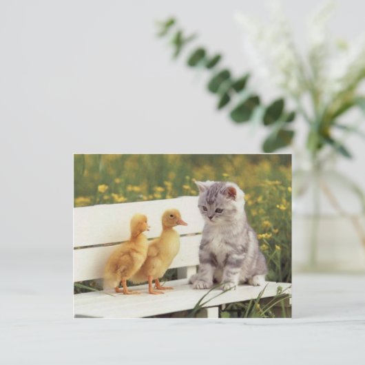 Neue Freunde Postkarte (Stehend Vorderseite)