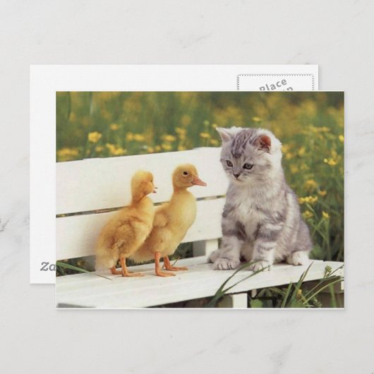 Neue Freunde Postkarte (Vorne/Hinten)