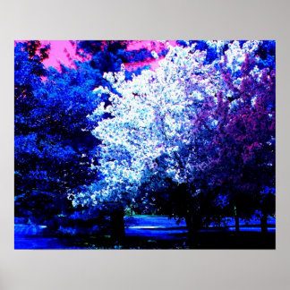 Neue Frühlingsfarben Poster