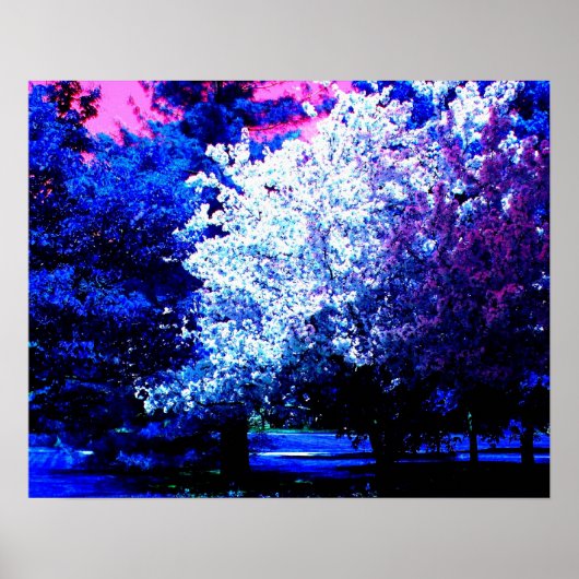 Neue Frühlingsfarben Poster (Vorne)