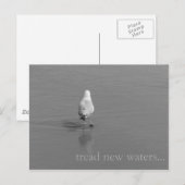 Neue Gewässer Postkarte (Vorne/Hinten)