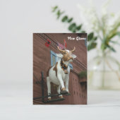 Neue Glarus Kuh Postkarte (Stehend Vorderseite)