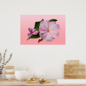 Neue Guinea Impatiens Pink & White Poster (Küche)