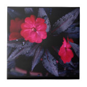 Neue Guinea Impatienten Keramik Tile Fliese (Vorderseite)