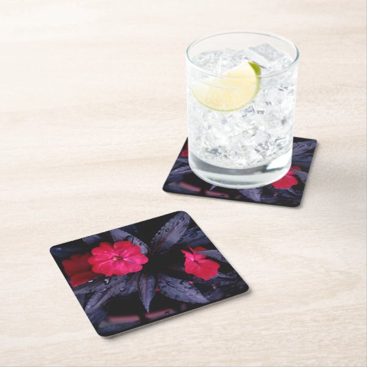 Neue Guinea Impatitis Paper Untersetzer (Vor Ort)