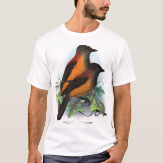 Neue Guinea: Zwei Pitohui-Arten T-Shirt
