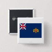 Neue Hampshire-Fahne für das zweite Regiment Button (Vorne & Hinten)