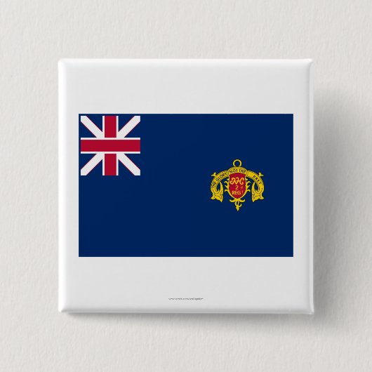 Neue Hampshire-Fahne für das zweite Regiment Button (Vorderseite)