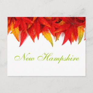 Neue Hampshire Herbst Blätter Postkarte